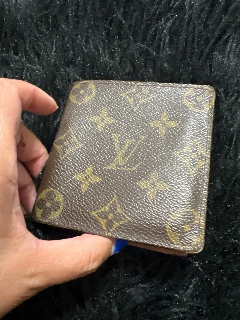 Louis Vuitton authentic louis